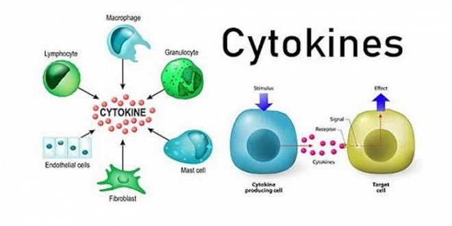 Hội chứng phóng thích Cytokine sau liệu pháp miễn dịch