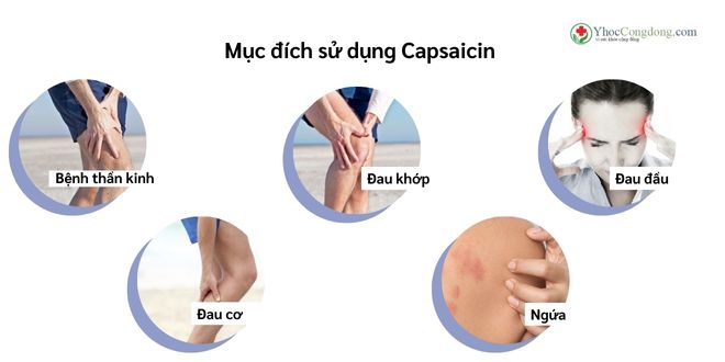 Capsaicin - thông tin cho chuyên gia y tế