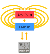 Thủy có thể dưỡng mộc